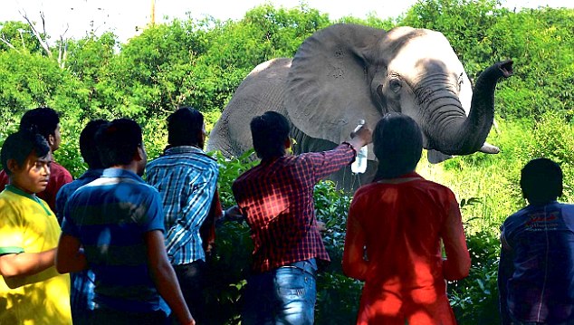 National Zoological Park Delhi- Top 10 Most Popular Places to Visit in Delhi