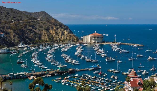 Catalina Island, Canada- Top 10 Best Summer Vacation Destinations in the World