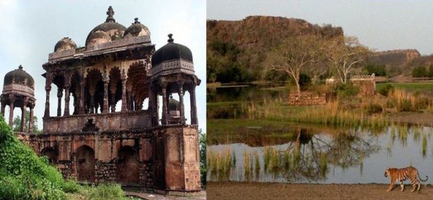 Ranthambore Fort- Top 10 Best Places to Visit in India 