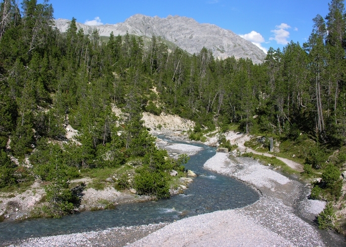 Swiss National Park- Top 10 Best Places to Visit in Switzerland