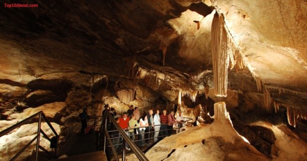 Jenolan Caves- Top 10 Best Places to Visit in Sydney