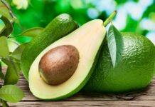 Top 10 Best Healthy Foods for Human Body