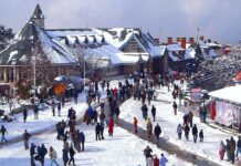 Shimla- Top 10 Romantic Hill Stations in India for Honeymoon