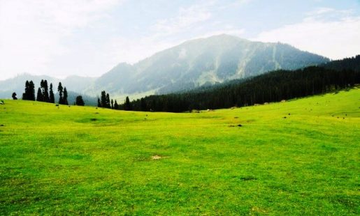 Top 10 Best Places to Visit in Kashmir