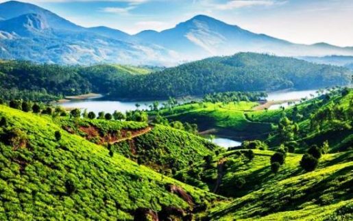 Top 10 Best Places to Visit in Kerala