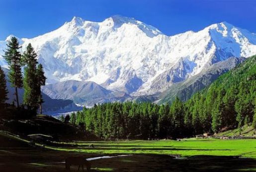 Top 10 Best Places to Visit in Kashmir