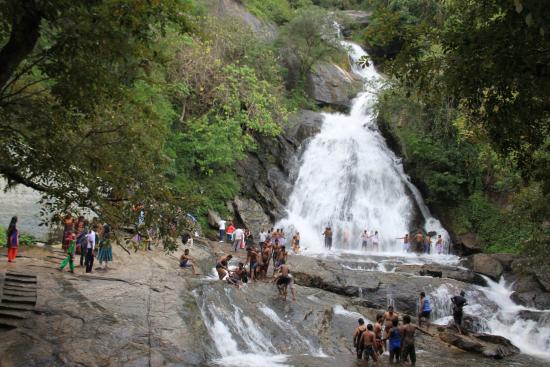 Monkey Falls- Top 10 Best Places to Visit in Coimbatore