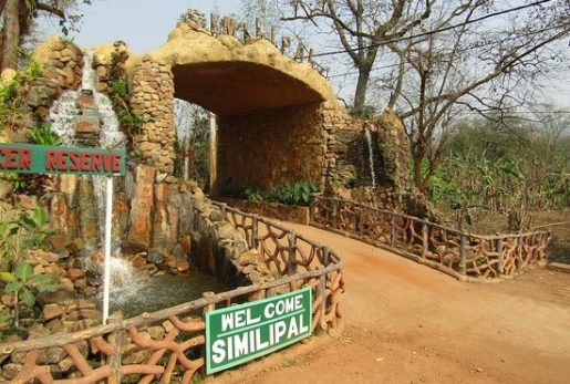 Top 10 best places to visit in Odisha