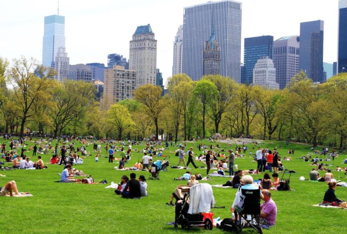 Central Park- Top 10 Most Popular Places to Visit in New York