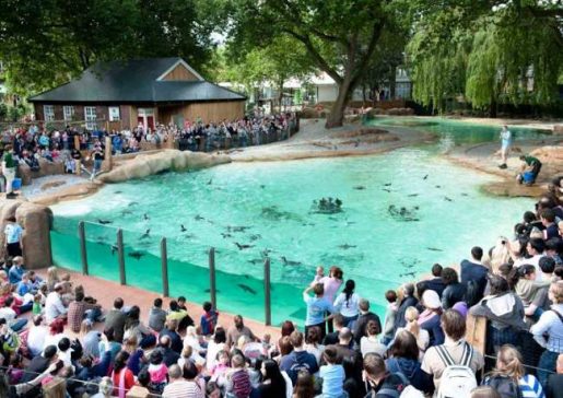 ZSL London Zoo Top 10 Fun places for Kids in London   