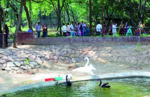 Indira Gandhi Zoological Park- Top 10 Best Places to Visit in Vizag or Visakhapatnam