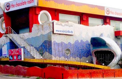 Matsyadarshini Aquarium- Top 10 Best Places to Visit in Vizag or Visakhapatnam