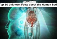 Top 10 Unknown Facts about Human Body