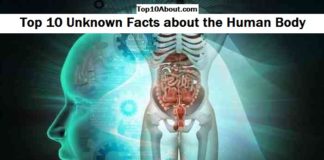Top 10 Unknown Facts about Human Body