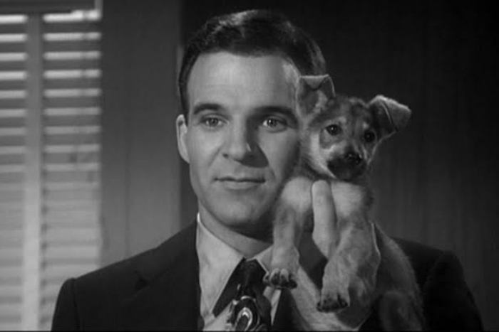 Steve Martin- Top 10 Greatest Hollywood Comedians of All Time Steve Martin- Top 10 Greatest Hollywood Comedians of All Time