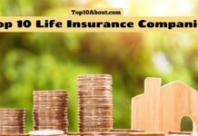 Top 10 Life Insurance Companies in the World