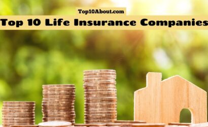 Top 10 Life Insurance Companies in the World