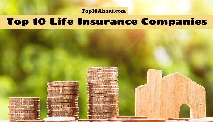 Top 10 Life Insurance Companies in the World