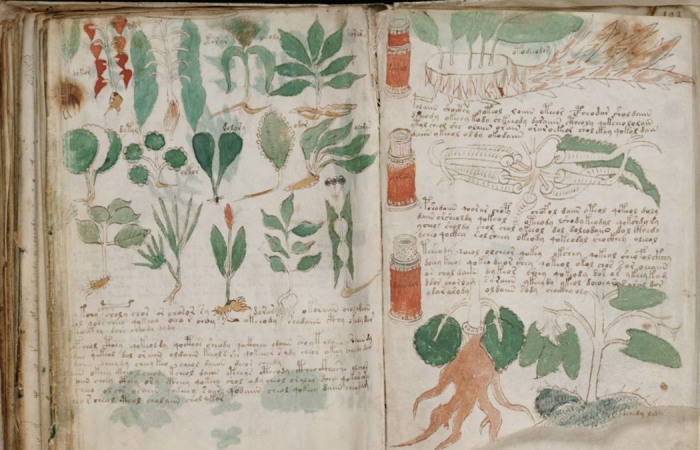 Voynich Manuscript- Top 10 Biggest Unsolved Mysteries in History