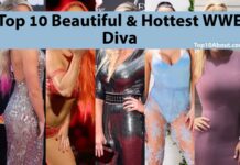 Top 10 Beautiful & Hottest WWE Diva 2022
