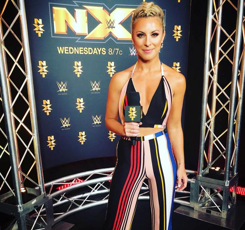 Top 10 Beautiful & Hottest WWE Female Anchors Ever Top 10 About