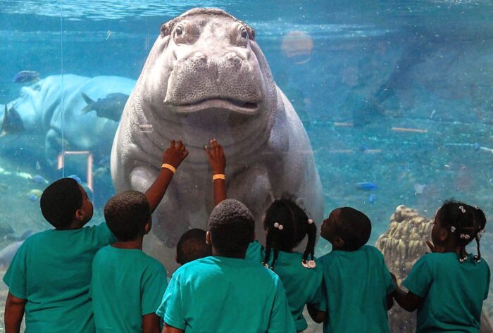 The Adventure Aquarium- Top 10 Best Tourist Places in New Jersey