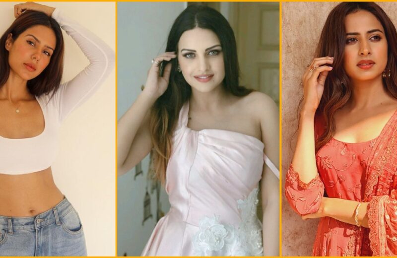 Top 10 Most Beautiful Punjabi Actresses in 2023