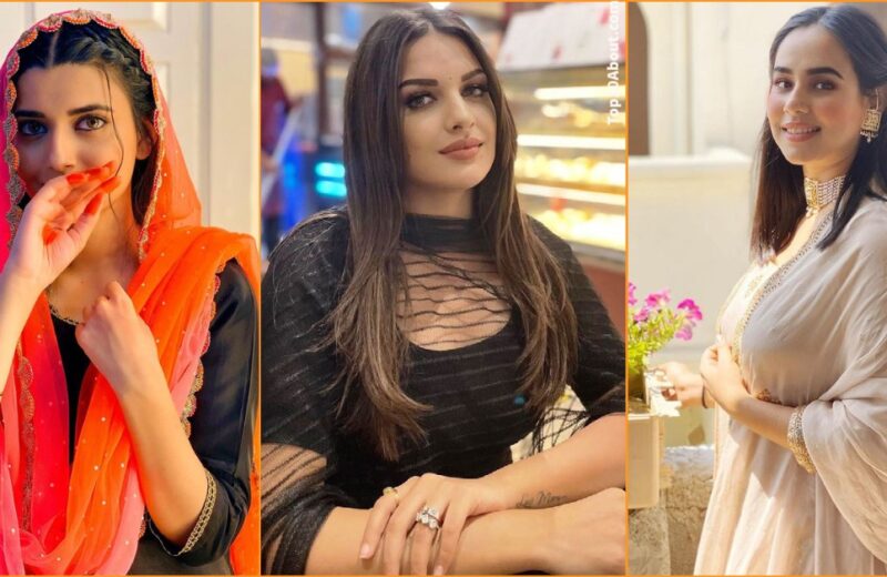 Top 10 Beautiful & Hottest Punjabi Female Singers in 2023