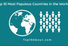 Top 10 Most Populous Countries in the World 2021