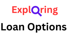 Bridging the Gap: Exploring Loan Options for Immediate Financial Needs