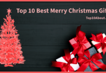 Top 10 Best Merry Christmas Gifts in 2023