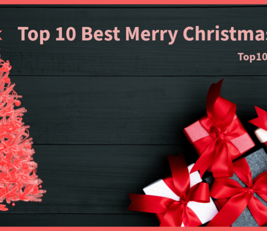 Top 10 Best Merry Christmas Gifts in 2023